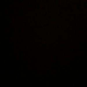 Meet your Posher, Ronnie